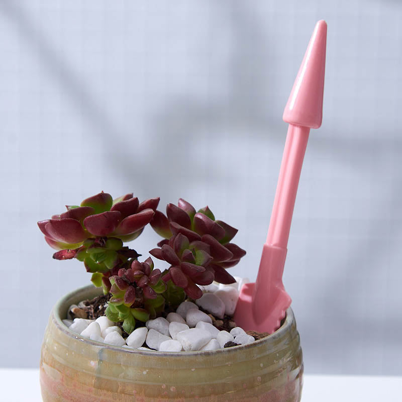 Home & Living2 Packs Succulent Transplanting Miniature Fairy Planting Mini Garden Hand Tools Set for Gardening Plant Care -Pink