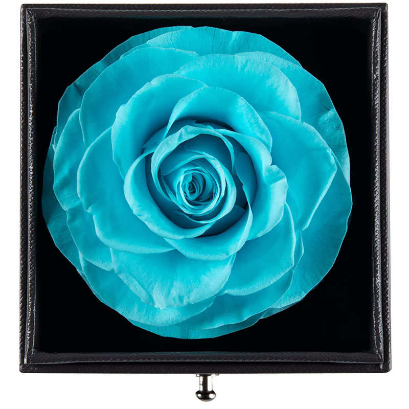 Preserved Flower Rose Gift Box for Valentines Day Anniversary Wedding-Tiffany Blue