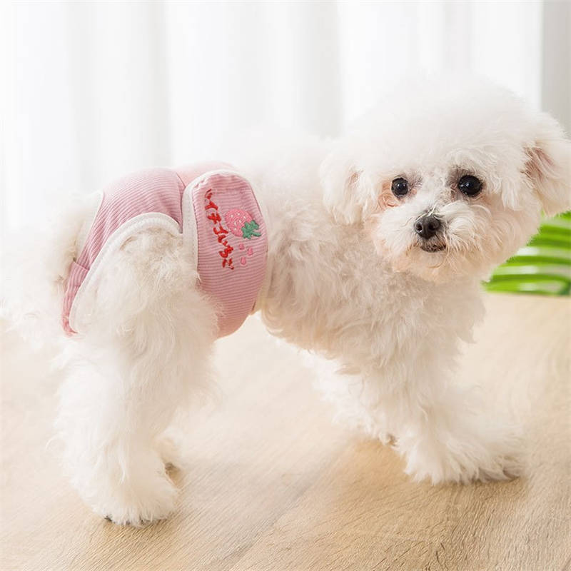 Washable Diapers Reusable Highly Absorbent for Doggy Female in Period-Strawberry