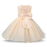 Girl Sleeveless Lace 3D Flower Tutu Holiday Princess Wedding Dresses-Champagne