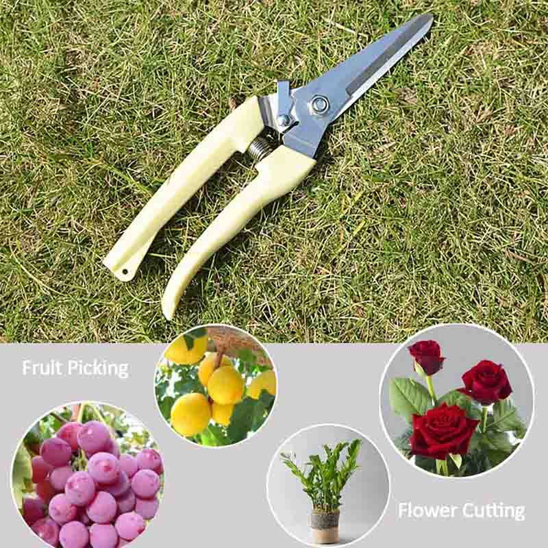 Home & LivingGardening Straight Blade Pruning Shears for Cutting Flowers, Trimming Plants, Harvesting Herbs, Fruits & Vegetables