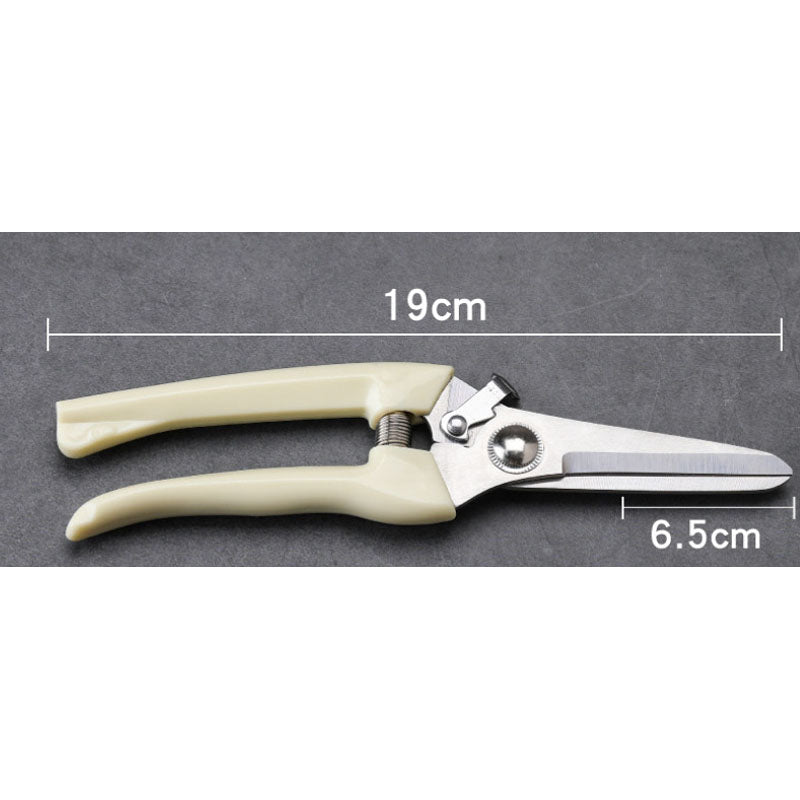 Home & LivingGardening Straight Blade Pruning Shears for Cutting Flowers, Trimming Plants, Harvesting Herbs, Fruits & Vegetables