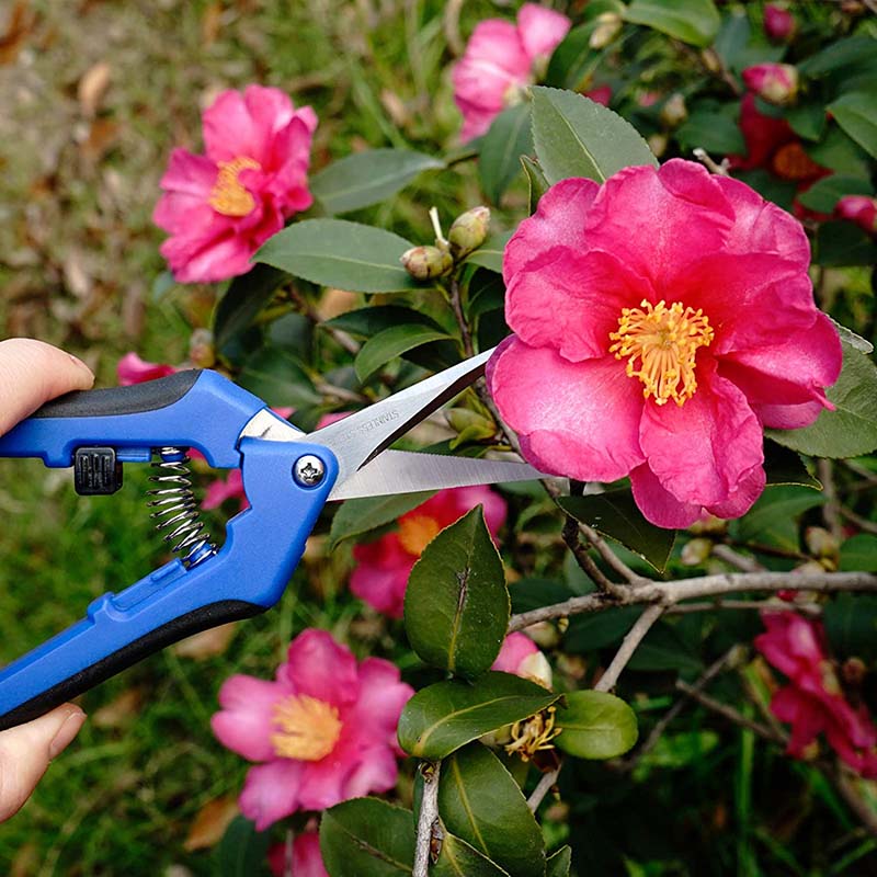 165mm Gardening Pruning Shears Hand Scissors with Straight Stainless Steel Blades for Trimming Herbs Flowers Plants -Blue