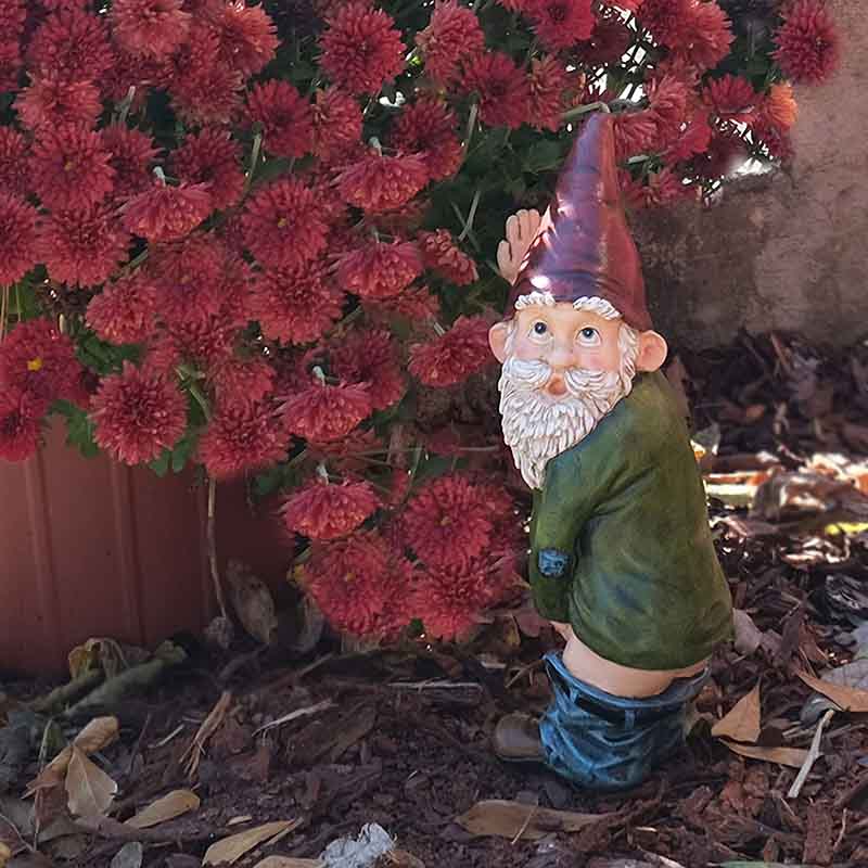 Peeing Gnome Funny Gnome for Lawn Ornaments Indoor or Outdoor Decorations