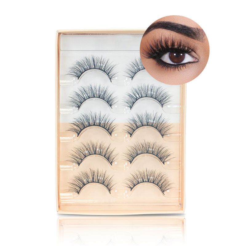 Natural False Eyelashes Wispy Fluffy Lashes Reusable Tapered End Technology Fake Lashes 5 Pairs (F02)