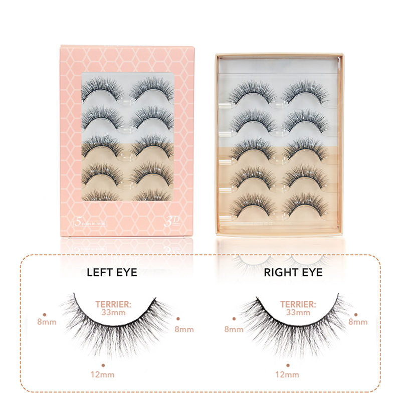 Natural False Eyelashes Wispy Fluffy Lashes Reusable Tapered End Technology Fake Lashes 5 Pairs (F05)