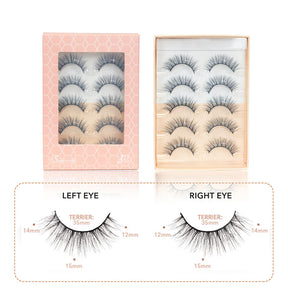Natural False Eyelashes Wispy Fluffy Lashes Reusable Tapered End Technology Fake Lashes 5 Pairs (F02)