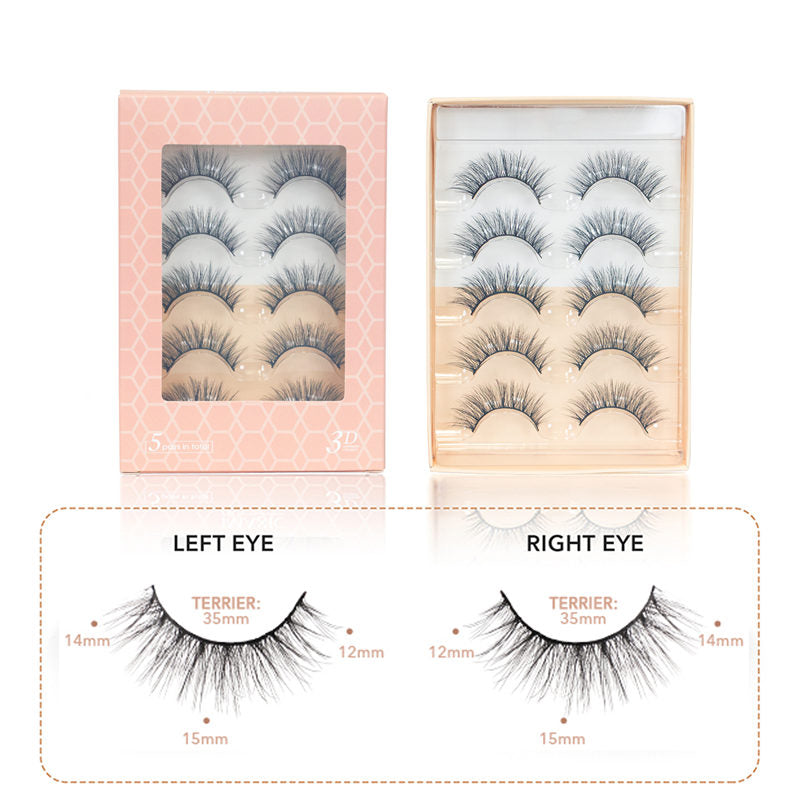 Natural False Eyelashes Wispy Fluffy Lashes Reusable Tapered End Technology Fake Lashes 5 Pairs (F02)
