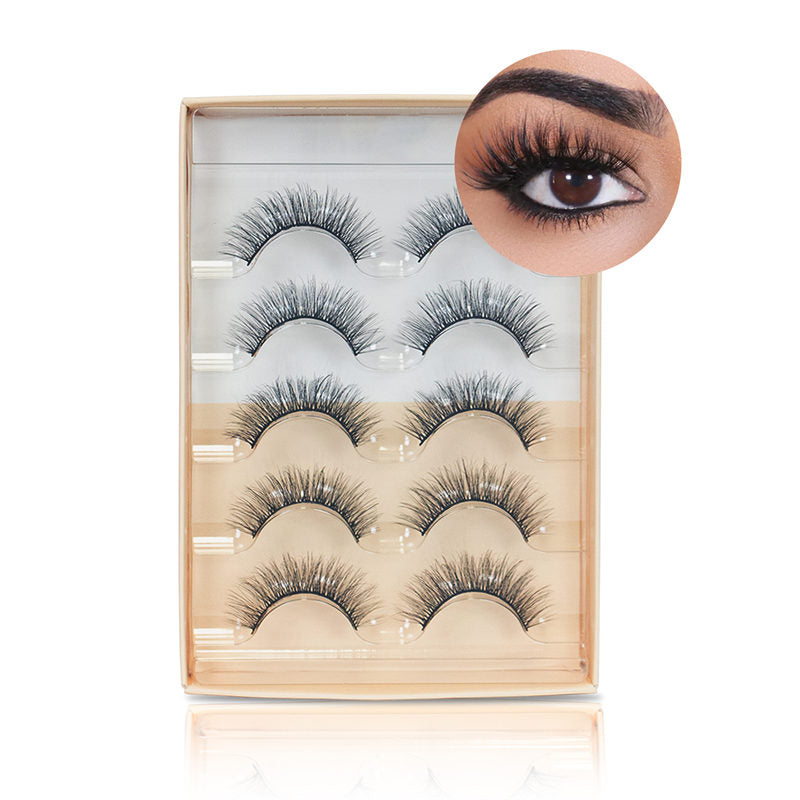 Natural False Eyelashes Wispy Fluffy Lashes Reusable Tapered End Technology Fake Lashes 5 Pairs (F05)