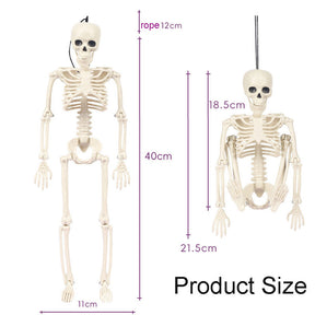 5 Pcs Skeleton Decorations 40cm with Movable Joints for Halloween