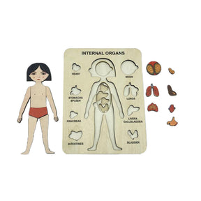 Wood Human Body Puzzles Toy Anatomy Play Set for Early Education Development-Girl1