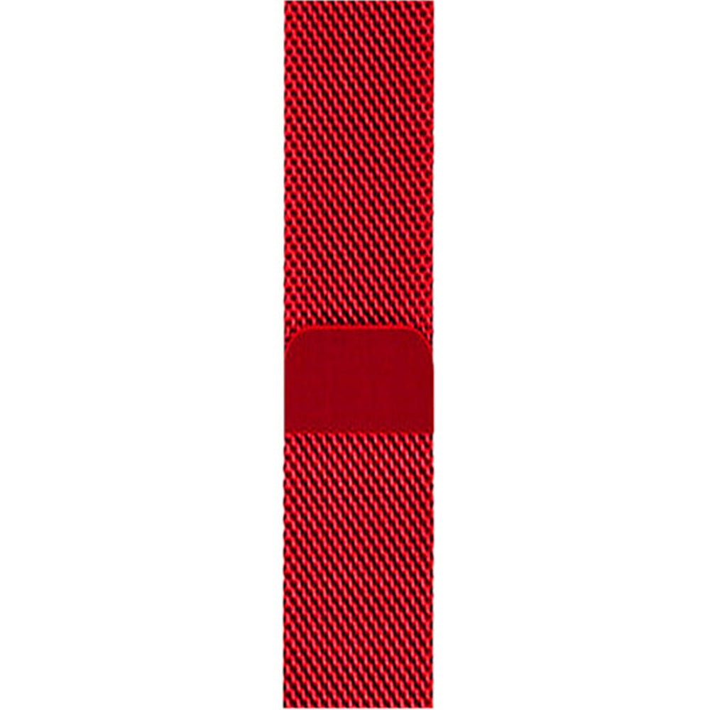 Metal Mesh Watch Watch Band With Steel Magnetic Absorption Loop For Apple Watch SE/6/5/4/3/2/1(Red)