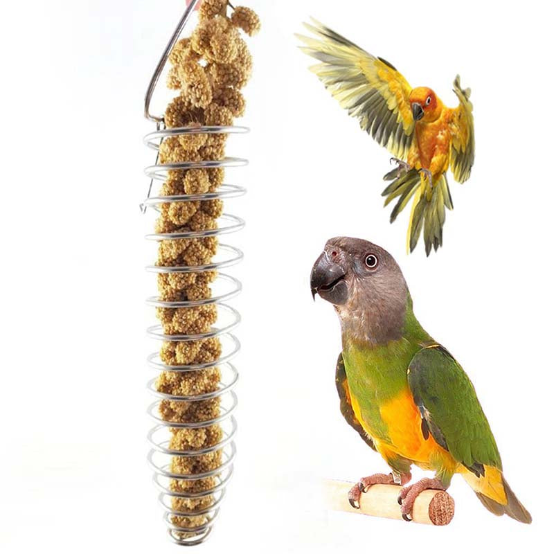 Parrot Foraging Hanging Stainless Steel Feeder Bird Grain Basket-Chain