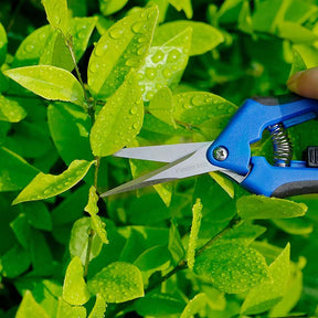 165mm Gardening Pruning Shears Hand Scissors with Straight Stainless Steel Blades for Trimming Herbs Flowers Plants -Blue