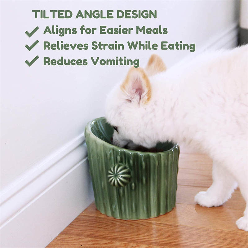 Cactus Elevated Ceramic Pet Bowls Tilted for Cats and Small Dogs Double Branch-White