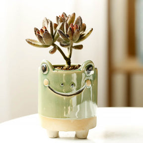 Ceramic Decor Succulent Flower Pot for Office Home School Decorated-Frog