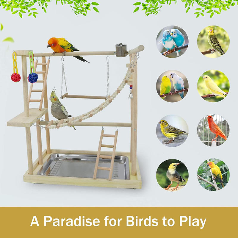 Parrots Playstand with 2 Stainless Steel Feeder Bird Swing Stand