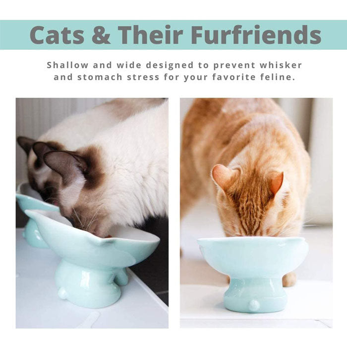 Raised Ceramic Cat Food Q Bowl Dish Tilt Angle Protect Cats Spine-Blue