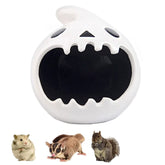 Small Animal House Ghost Shape Ceramic Hideout