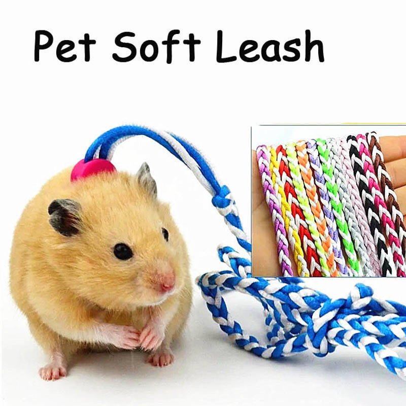 2 Pcs 140CM/2M Rat Leash With Bell for Small Animal-Random Color