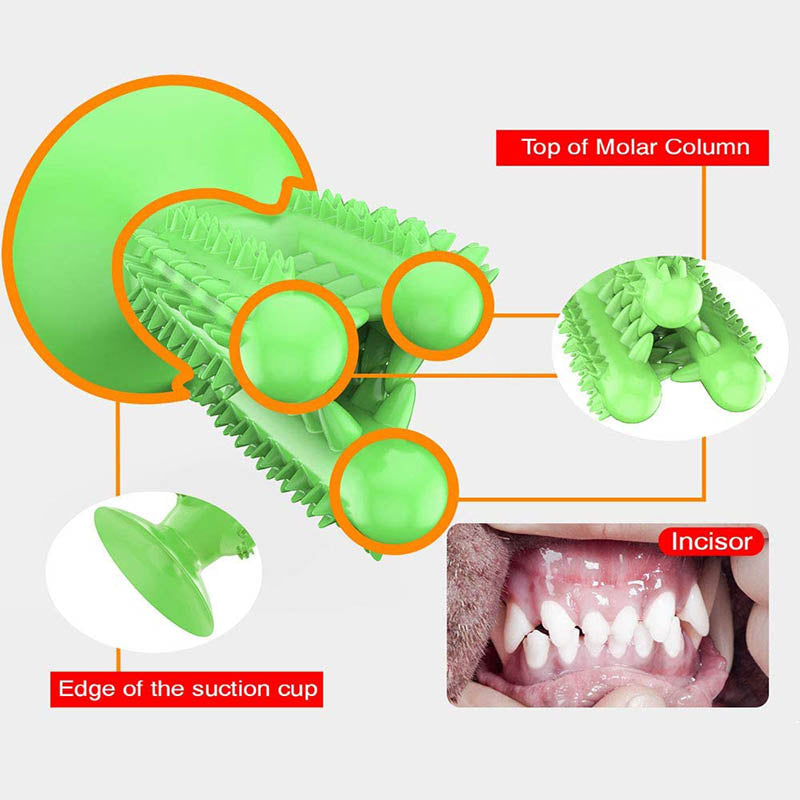 Dog Toothbrush Cactus Chew Toys Dog Teeth Cleaning Stick-Green