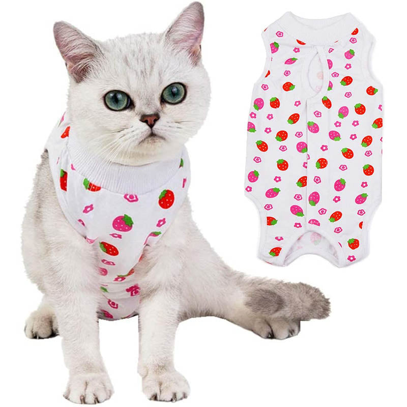 Cat Surgery Recovery Suit Breathable for Abdominal Wounds and Skin Diseases-Strawberry