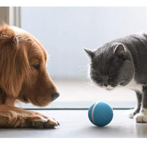 Wicked Ball Self Moving Interactive Ball For Dogs Cats-Blue