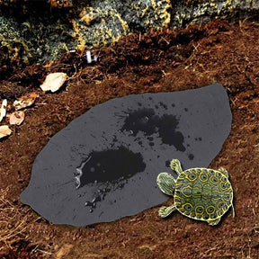 Reptile Rock Plate Tortoise Feeding Platform Food Dish Habitat Decor