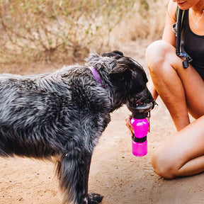 Pet Dog Extrusion Portable Water Fountain Leak-Proof Drinking Bottle-Pink