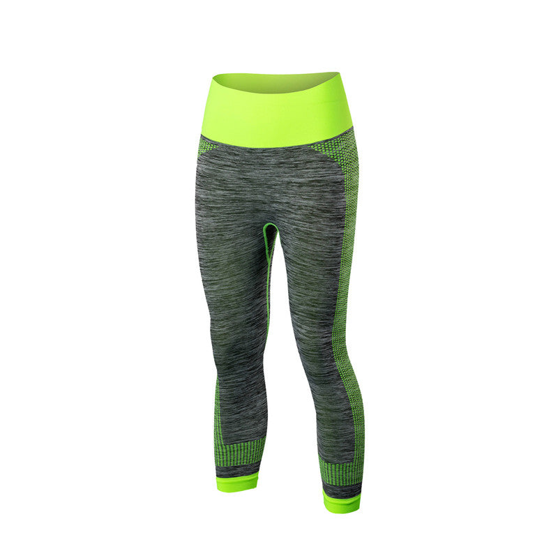 Adore Women Yoga Pants Fitness Workout Leggings Stretch Quick-Drying Short Tight Pants 5081-Green