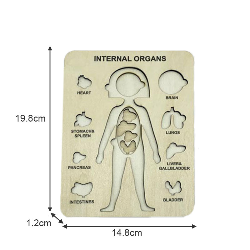 Wood Human Body Puzzles Toy Anatomy Play Set for Early Education Development-Girl1