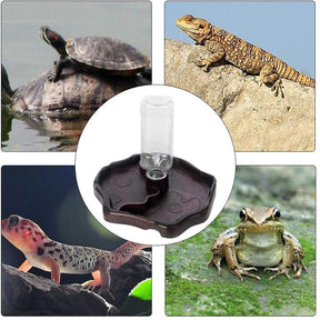 Reptile Water Bottle Automatic Feeders Waterer Food Bowl-Black