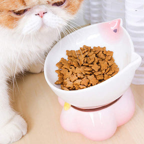 Cute Ceramic Tilted Raised Pet Bowls for Cats and Dogs Backflow Prevention-Pink