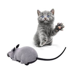 Remote Control Toy for Cats Funny Chasing Electric Simulation Animal Toys-DarkGray