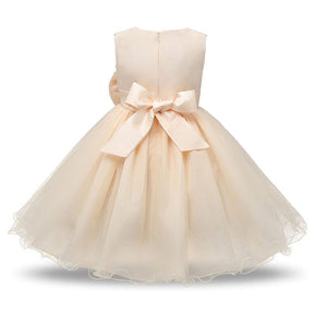 Girl Sleeveless Lace 3D Flower Tutu Holiday Princess Wedding Dresses-Champagne