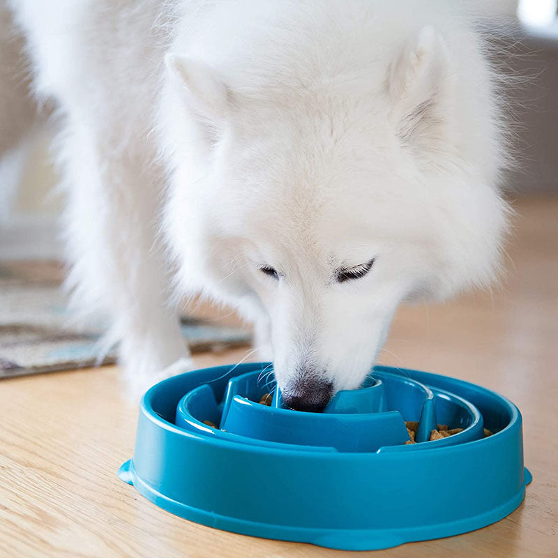 Exercise Intellect Dog Bowl Anti-choking Healthy Plastic Dog Bowl-Blue