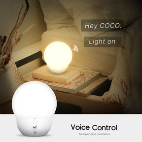 Smart Night Light Voice Control Portable Dimmable Color Changing Touch for Bedroom