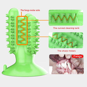 Dog Toothbrush Cactus Chew Toys Dog Teeth Cleaning Stick-Green