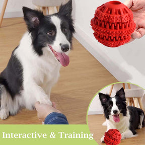 2 Packs Teething Toys for Small Medium Dog 360¡ã Cleaning Durable Chew Toys Rubber Ball-RedOrange