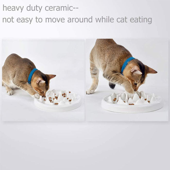 Slow Feeder Cat Bowls Goldfish Design Ceramic Healthy Eating Diet Pet Bowl