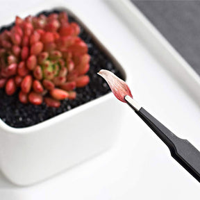 Home & Living15 Pieces Mini Garden Hand Transplanting Succulent Tools Miniature Planting Set -Black