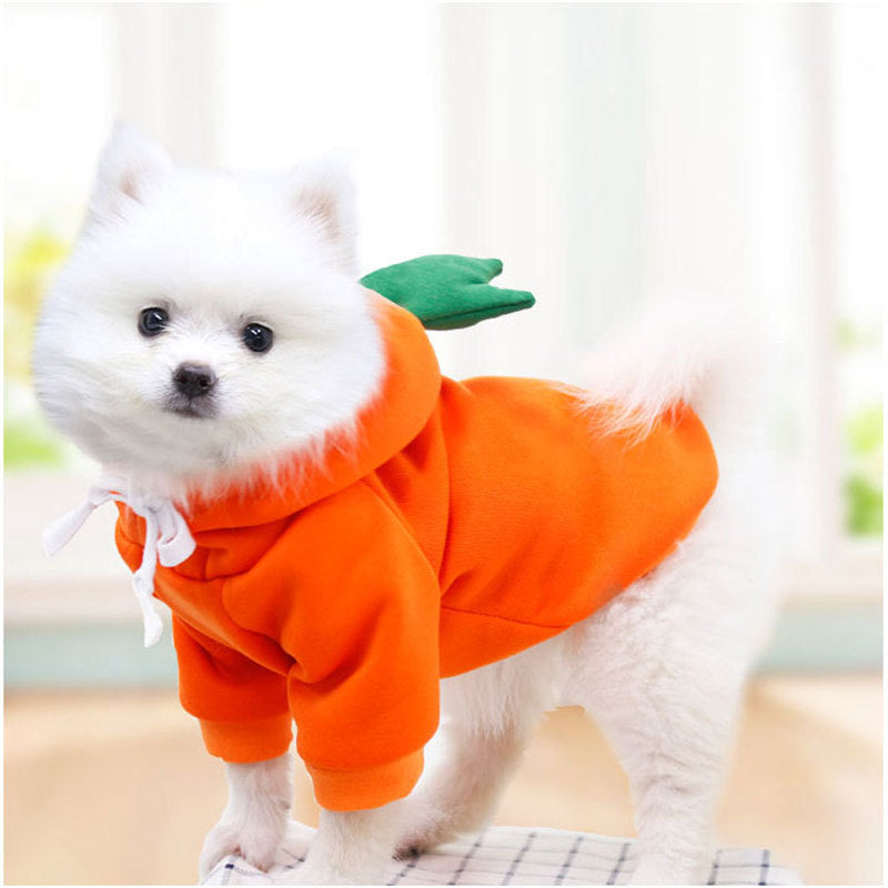 Pet Clothes Orange Carrot Pattern Design Hoodie Sweatshirts 3D Cute Costume