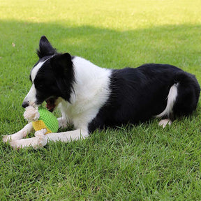 Dog Squeak Toy Partially Filled with The Chew Toy Suitable for Puppy and Medium Dogs-Frog