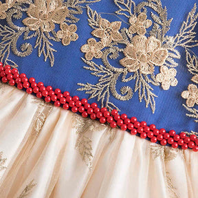 Girl Flower Lace Printed Cotton Elegant Tulle Bow Belt Princess Dress-Red