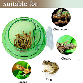 2 Pcs Reptile Suction Cup Feeder Suitable for Chameleon