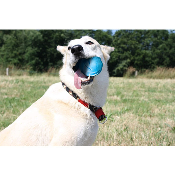 Wicked Ball Automatic and Interactive Ball to Keep Your Dogs/Cats Company All Day