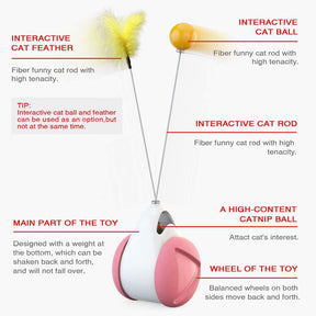 Cat Balance Swing Car Toy with Catnip Ball Feather Stick Interactive Pet Toys-Pink