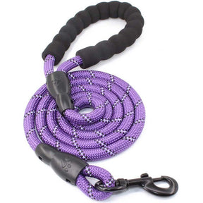 Strong Dog Leash with Comfortable Padded Handle and Highly Reflective Threads-Purple