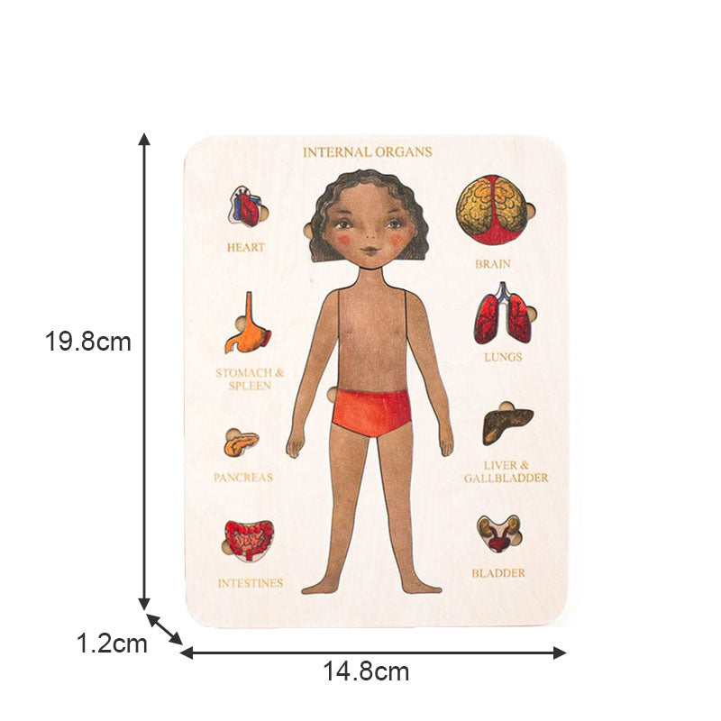 Wood Human Body Puzzles Toy Anatomy Play Set for Early Education Development-Girl3