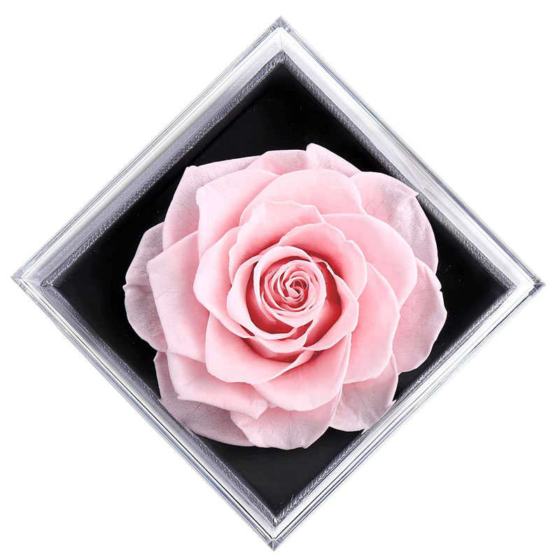 Preserved Flower Rose Gift Box for Valentines Day Anniversary Wedding-Pink